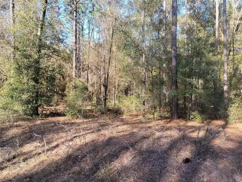 00 SW 133rd Ct, Ocala, FL 34481