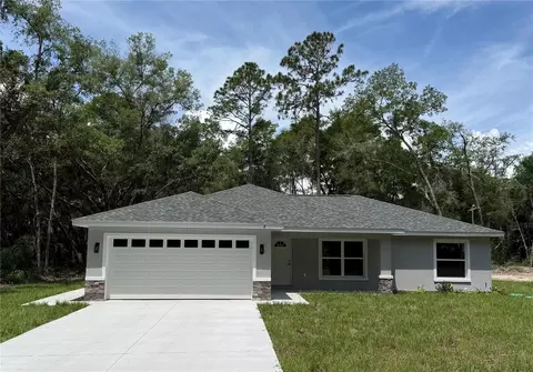 8 Bay Pass Ter, Ocklawaha, FL 32179
