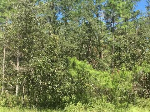 45 Th Terrace Rd, Ocala, FL 34473