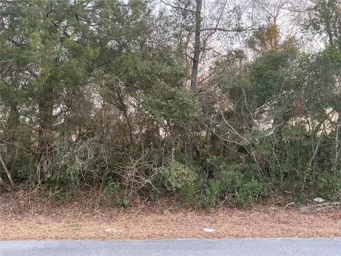 SW 138th Street, Ocala, FL 34473