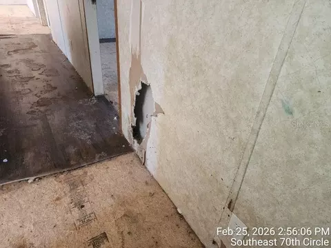 213 SE 70th Cir, Ocala, FL 34472 photo 22