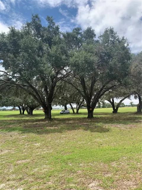 tbd NE 56th Ct, Anthony, FL 32617