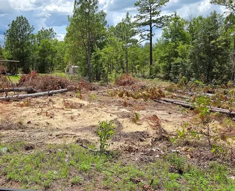 tbd NE 14th Pl, Williston, FL 32696