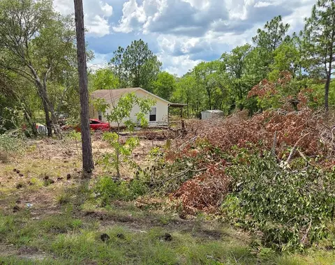 tbd NE 14th Pl, Williston, FL 32696 photo 3