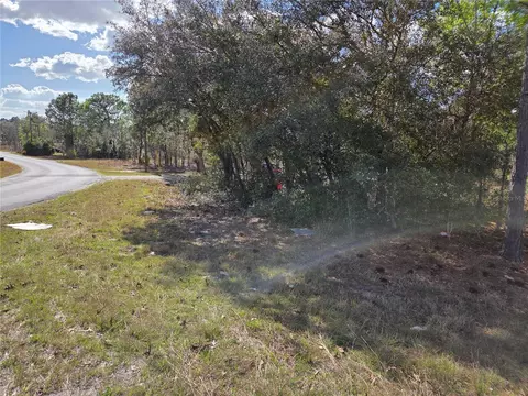 tbd NE 14th Pl, Williston, FL 32696