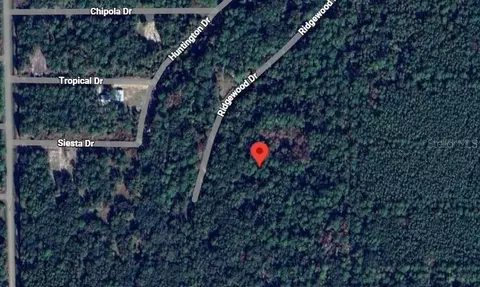 205 Siesta Dr, Georgetown, FL 32139