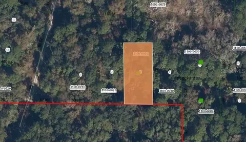 205 Siesta Dr, Georgetown, FL 32139 photo 2