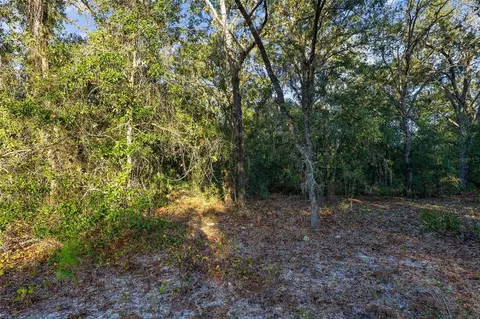 tbd SW 174 Pl, Ocala, FL 34473 photo 6