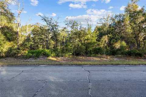 tbd SW 174 Pl, Ocala, FL 34473 photo 2