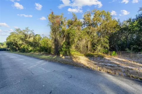 tbd SW 174 Pl, Ocala, FL 34473 photo 5