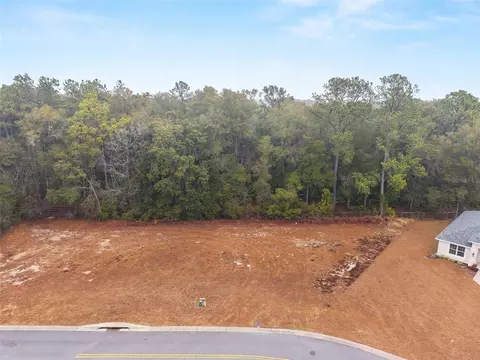 tbd NE 58th Cir, Silver Springs, FL 34488