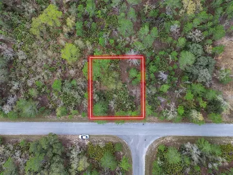 tbd Malauka Ln, Ocklawaha, FL 32179
