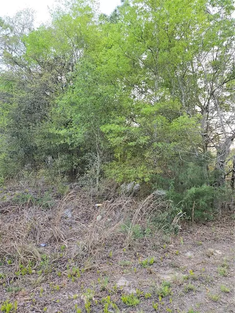 tbd SW 27 St, Ocala, FL 34481 photo 4