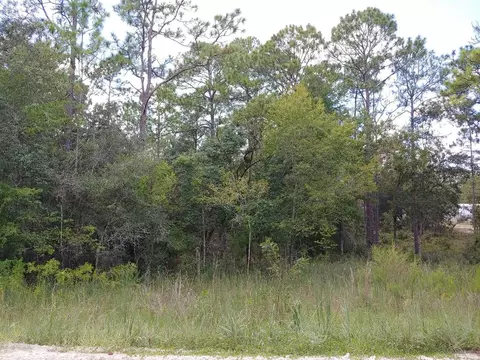 tbd SE 150th Ave, Morriston, FL 32668