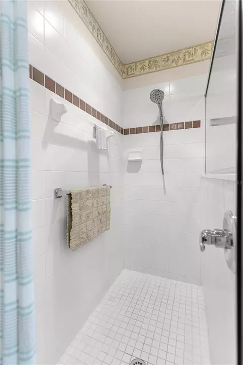 Bath - 8061 SW 81st Loop, Ocala, FL 34476 photo 3 of 6