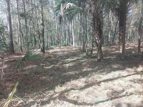 18954 County Rd 329, Micanopy, FL 32667