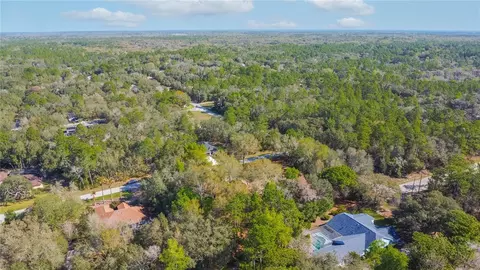 View/Area - 826 E Gaines Ln, Hernando, FL 34442 photo 6 of 16