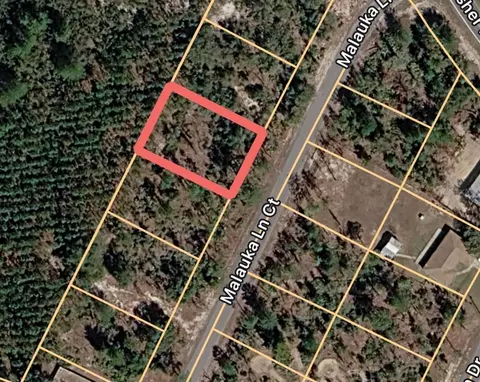 Malauka Lane Court, Ocklawaha, FL 32179