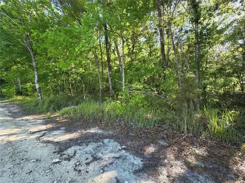 0000 SE 42nd Ct, Belleview, FL 34420