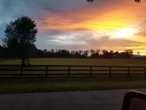4580 NE 138th Ter, Williston, FL 32696 photo 6