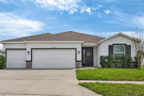 13454 Golden Lime Ave, Spring Hill, FL 34609