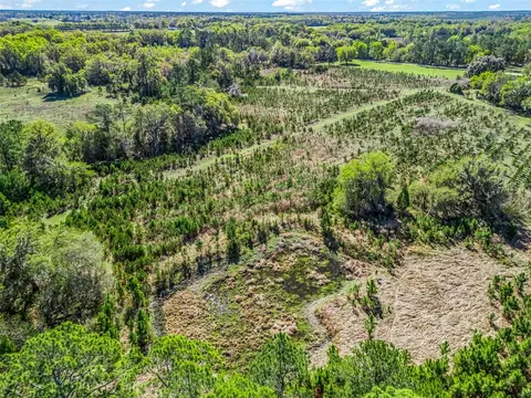 View/Area - 6350 NE 86th Ave, Bronson, FL 32621 photo 10 of 21