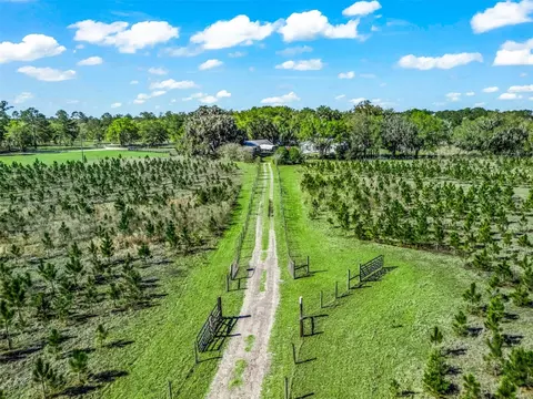 View/Area - 6350 NE 86th Ave, Bronson, FL 32621 photo 3 of 21