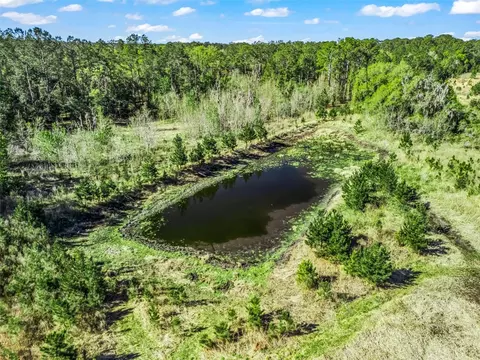 View/Area - 6350 NE 86th Ave, Bronson, FL 32621 photo 5 of 21