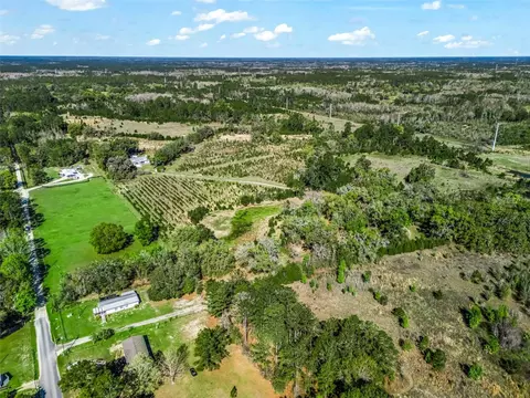 View/Area - 6350 NE 86th Ave, Bronson, FL 32621 photo 20 of 21