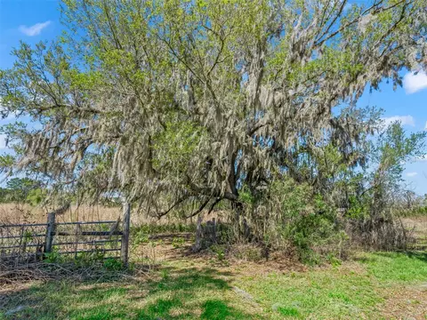 Exterior - 6350 NE 86th Ave, Bronson, FL 32621 photo 24 of 24