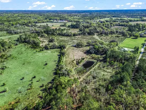 View/Area - 6350 NE 86th Ave, Bronson, FL 32621 photo 21 of 21