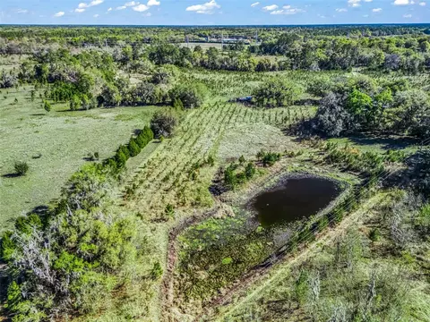 View/Area - 6350 NE 86th Ave, Bronson, FL 32621 photo 6 of 21