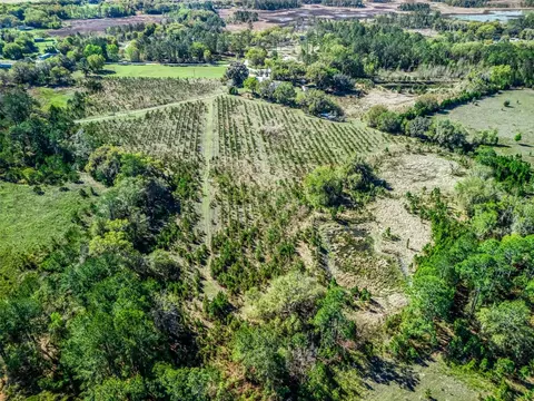 View/Area - 6350 NE 86th Ave, Bronson, FL 32621 photo 12 of 21