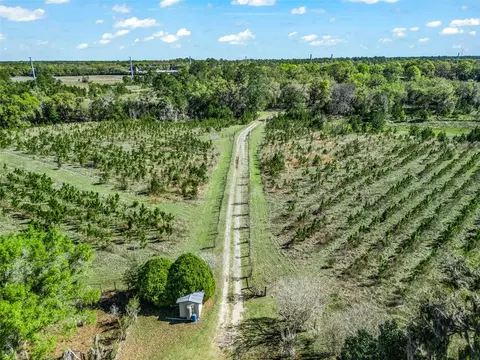 View/Area - 6350 NE 86th Ave, Bronson, FL 32621 photo 4 of 21