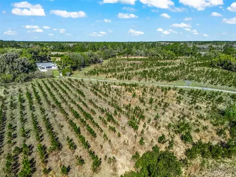 View/Area - 6350 NE 86th Ave, Bronson, FL 32621 photo 13 of 21