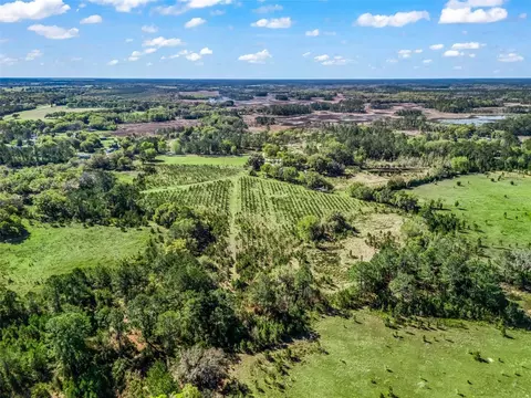 View/Area - 6350 NE 86th Ave, Bronson, FL 32621 photo 19 of 21