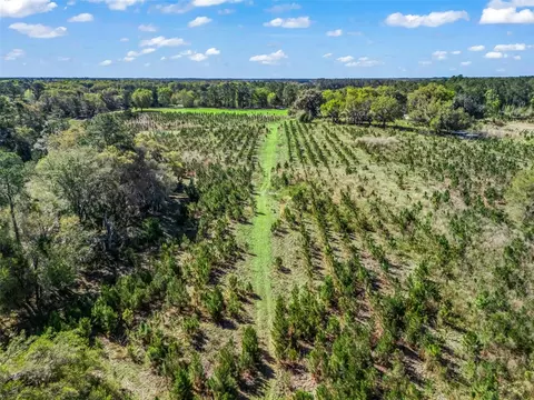 View/Area - 6350 NE 86th Ave, Bronson, FL 32621 photo 9 of 21