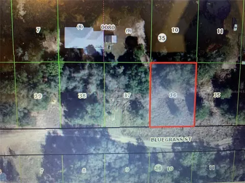 2406 Bluegrass St, Inverness, FL 34453