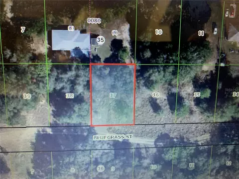 2408 Bluegrass St, Inverness, FL 34453