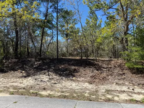 10776 N Moreno Dr, Dunnellon, FL 34433