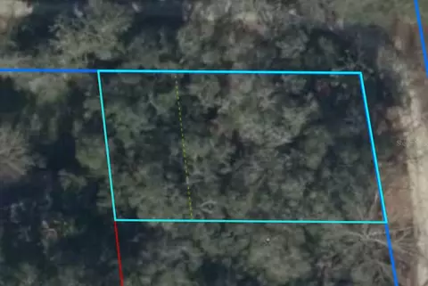 tbd SE 2 St, Williston, FL 32696 photo 7