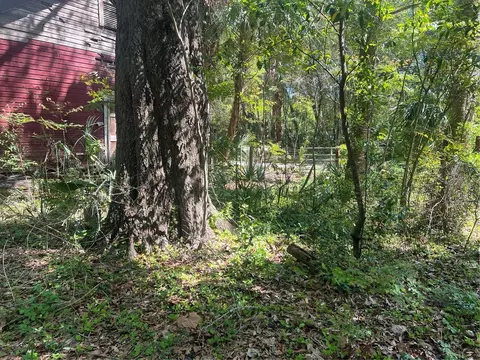 tbd SE 2 St, Williston, FL 32696 photo 3
