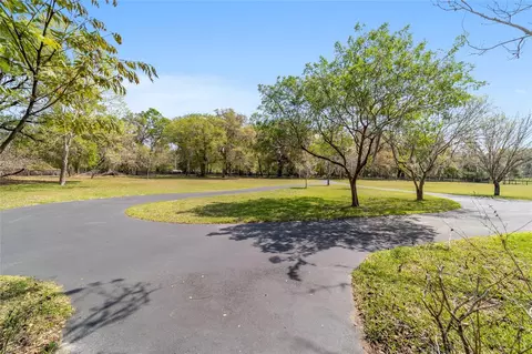Exterior - 16638 N Highway 329, Reddick, FL 32686 photo 7 of 24