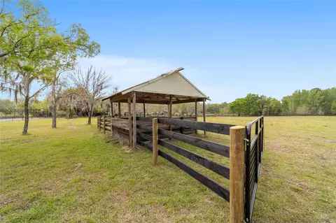 Other - 16638 N Highway 329, Reddick, FL 32686 photo 26 of 29