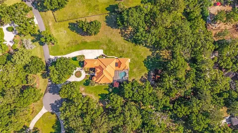 View/Area - 2380 SE 73rd Loop, Ocala, FL 34480 photo 2 of 6