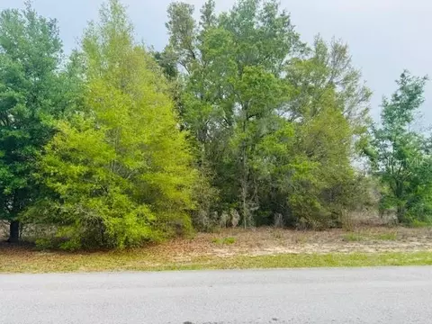 SW 83rd Street, Dunnellon, FL 34431