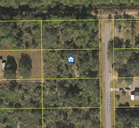 2319 Abbott Ave, Alva, FL 33920