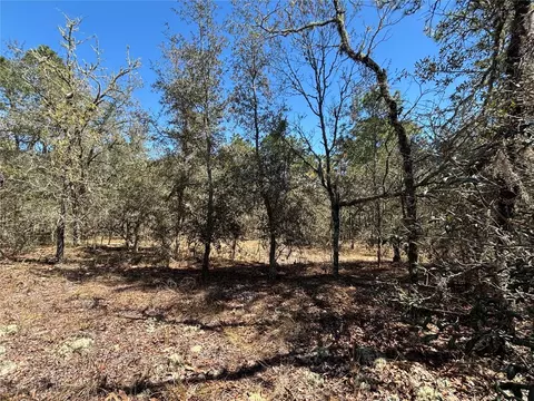 0000 SW Hillcrest Ave, Dunnellon, FL 34431