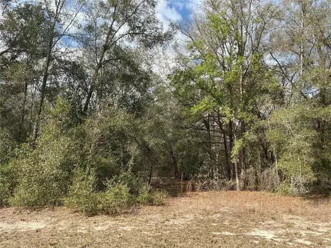 9299 Goodstone Dr, Webster, FL 33597