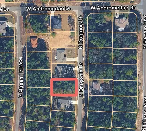 10924 N Dragonis Dr, Citrus Springs, FL 34433